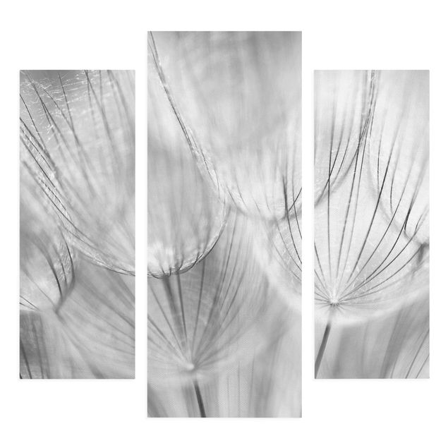schöne Leinwandbilder Pusteblumen Makroaufnahme in schwarz weiß
