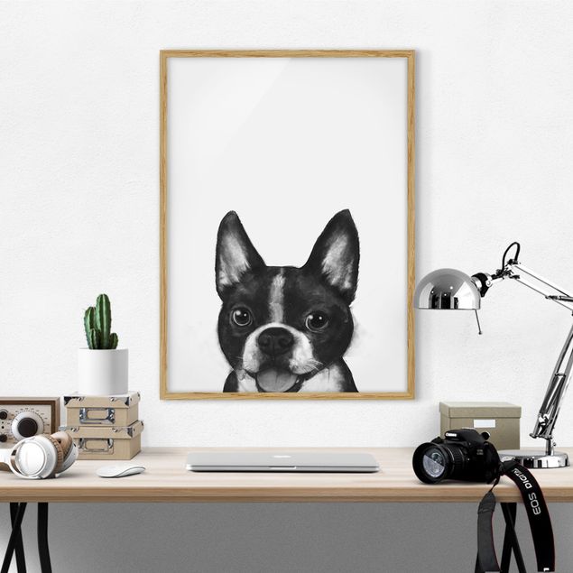 Moderne Bilder mit Rahmen Illustration Hund Boston Schwarz Weiß Malerei