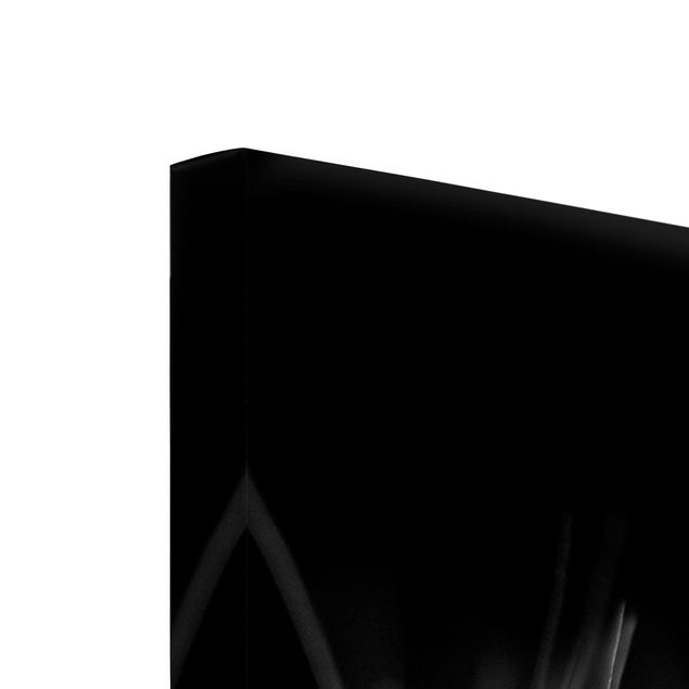 Leinwandbild 3-teilig - Bewegte Pusteblumen Nahaufnahme auf schwarzem Hintergrund - Hoch 1:2
