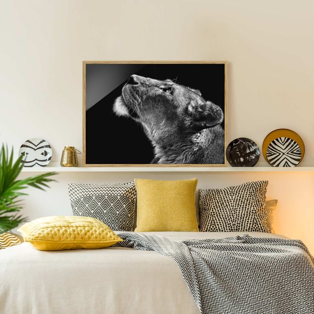 Wandbilder Portrait einer Löwin