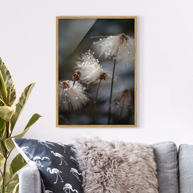Moderne Bilder mit Rahmen Pusteblumen mit Schneeflocken