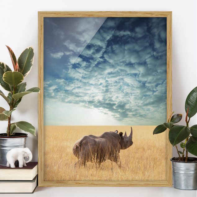 Moderne Bilder mit Rahmen Nashorn in der Savanne