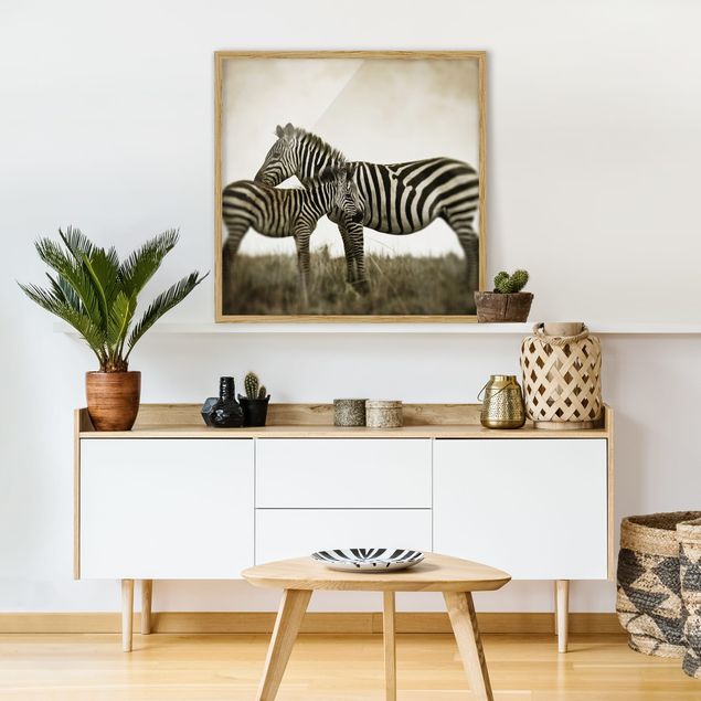 Moderne Bilder mit Rahmen Zebrapaar