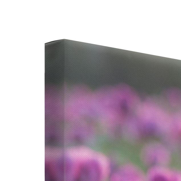 Leinwandbild 3-teilig - Violette Schlafmohn Blumenwiese im Frühling - Hoch 1:2