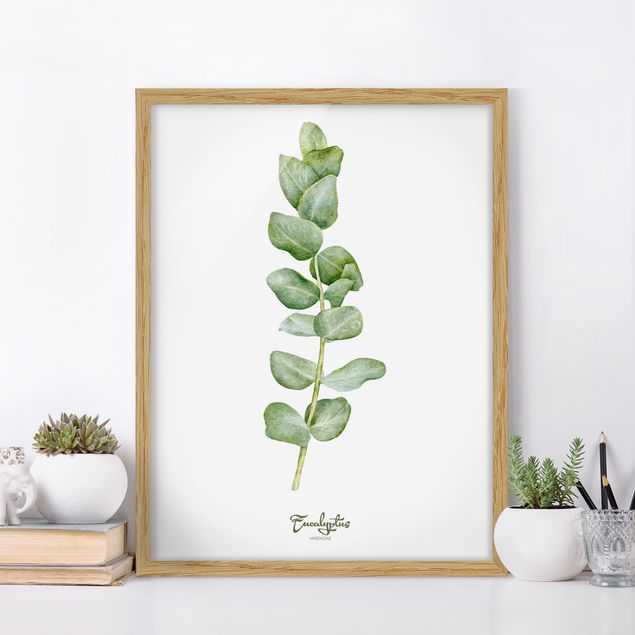 Moderne Bilder mit Rahmen Aquarell Botanik Eukalyptus