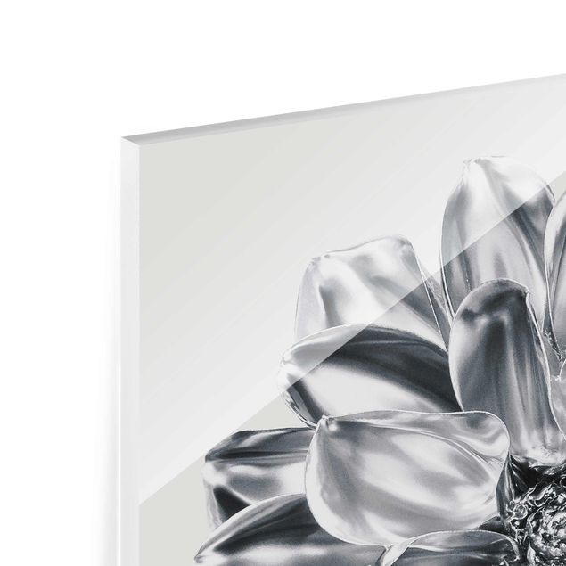 Glasbild - Dahlie Blume Silber Metallic - Quadrat 1:1