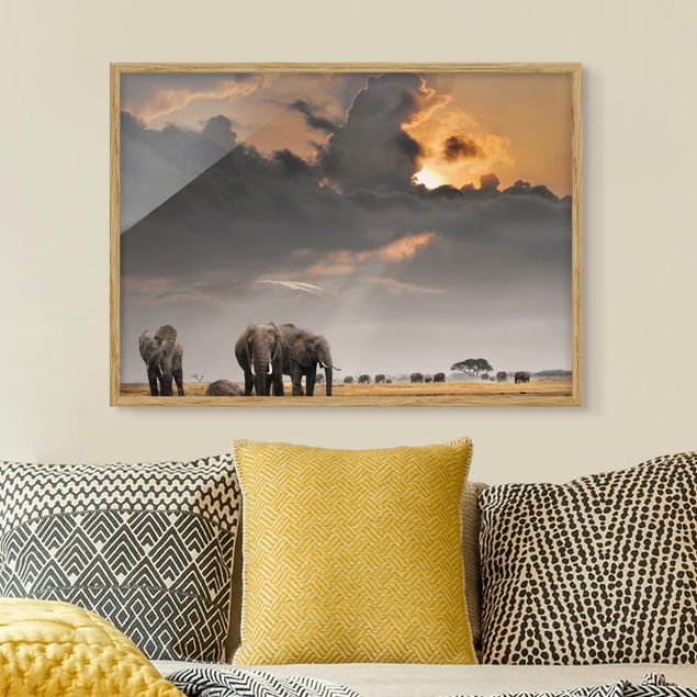 Moderne Bilder mit Rahmen Elefanten der Savanne