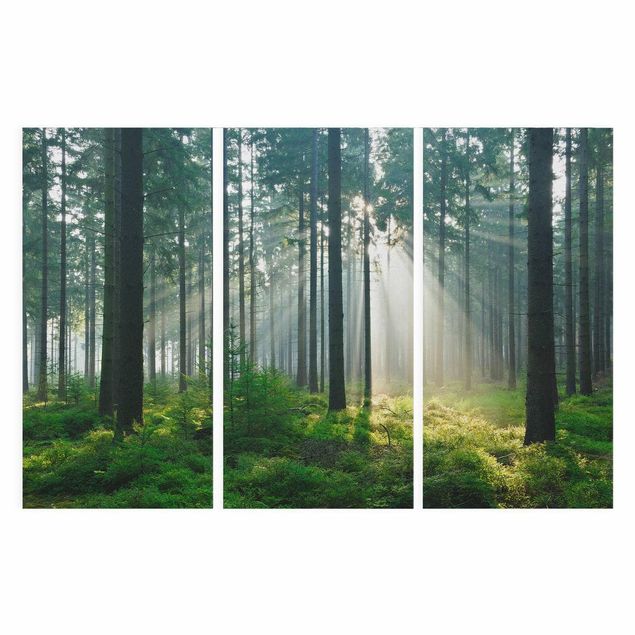 Leinwandbild 3-teilig - Enlightened Forest - Hoch 1:2