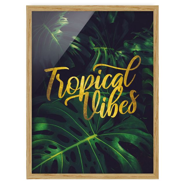 Bilder Dschungel - Tropical Vibes