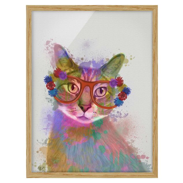 gerahmte Bilder Regenbogen Splash Katze