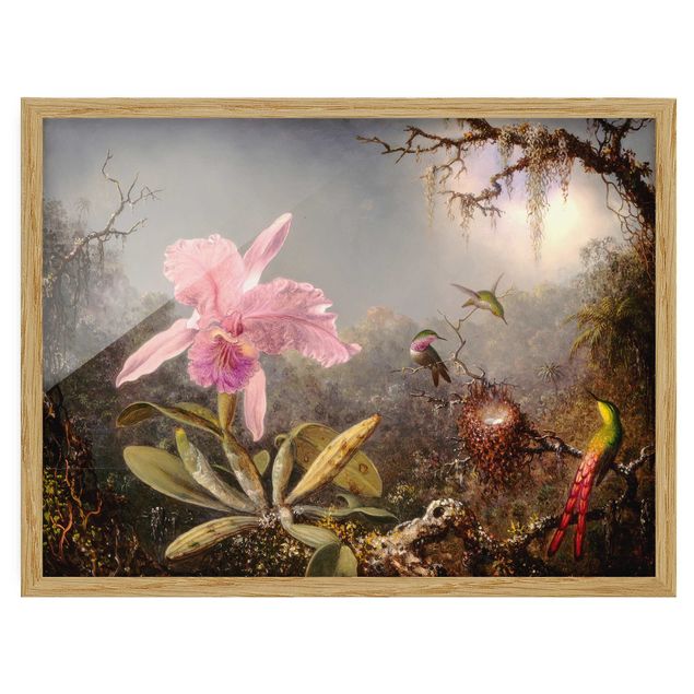 Bilder Martin Johnson Heade - Orchidee und drei Kolibris