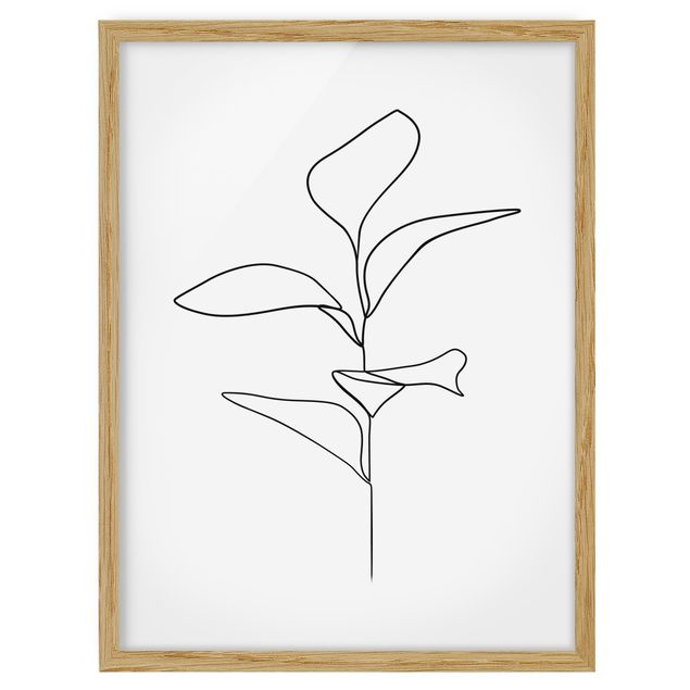 Blumen Bilder mit Rahmen Line Art Pflanze Blätter Schwarz Weiß