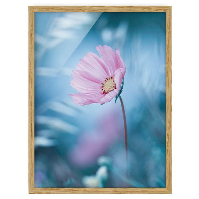 Bilder mit Rahmen Blüte in Pastell
