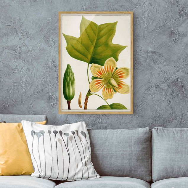 Moderne Bilder mit Rahmen Tableau Blatt Blüte Frucht IV