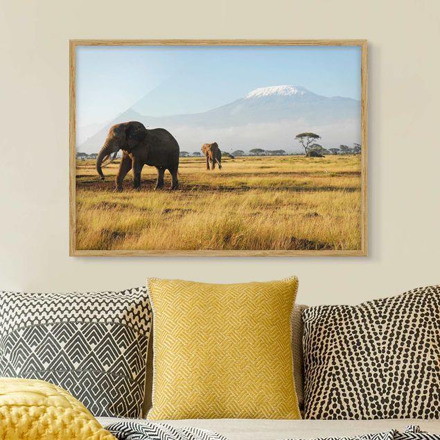 Moderne Bilder mit Rahmen Elefanten vor dem Kilimanjaro in Kenia