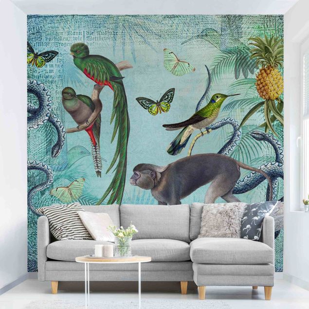 Vogel Tapete Colonial Style Collage - Äffchen und Paradiesvögel