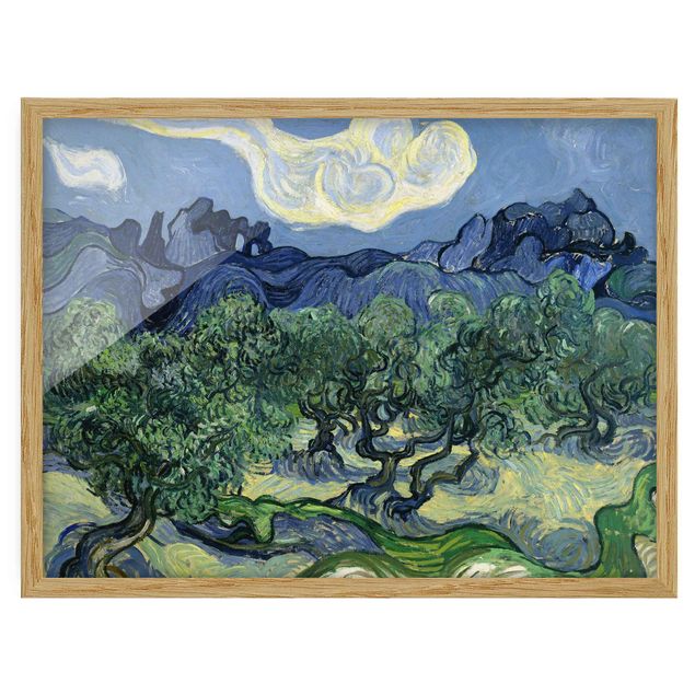 Natur Bilder mit Rahmen Vincent van Gogh - Olivenbäume