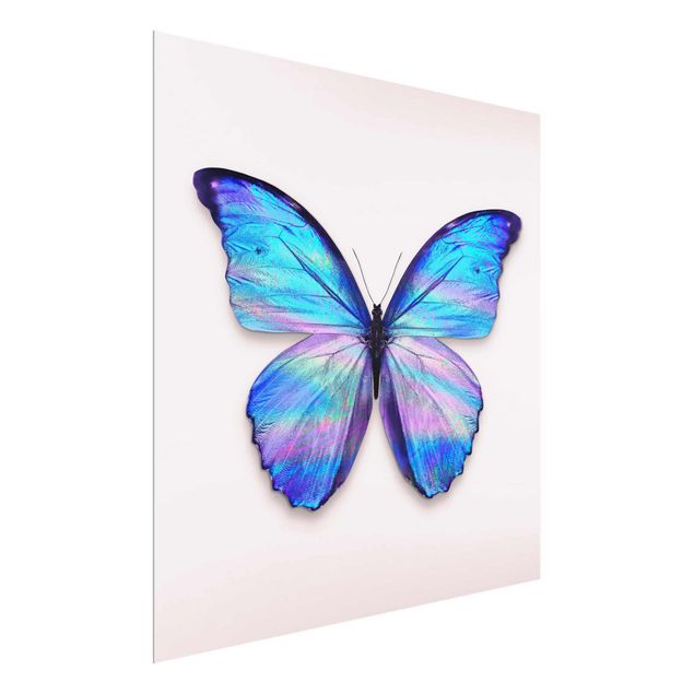 Glasbild - Jonas Loose - Holografischer Schmetterling - Quadrat 1:1