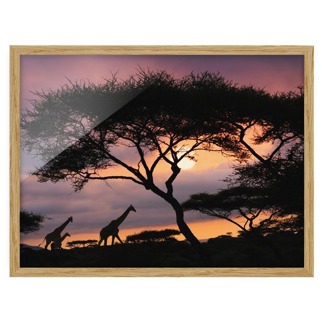 Bilder Safari in Afrika