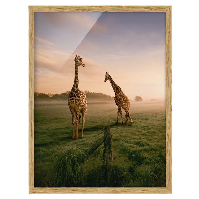Wandbilder Surreal Giraffes