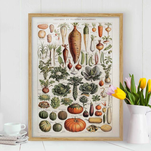Vintage Bilder mit Rahmen Vintage Lehrtafel Gemüse