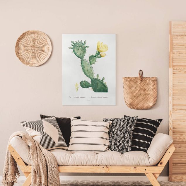 Leinwandbilder Vintage Botanik Vintage Illustration Kaktus mit gelber Blüte
