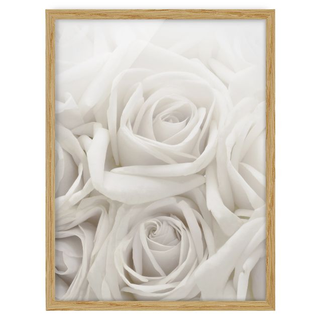 Bilder mit Rahmen Weiße Rosen