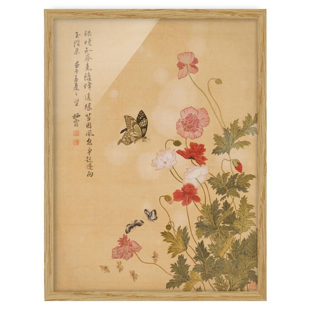 Bilder Yuanyu Ma - Mohnblumen und Schmetterlinge