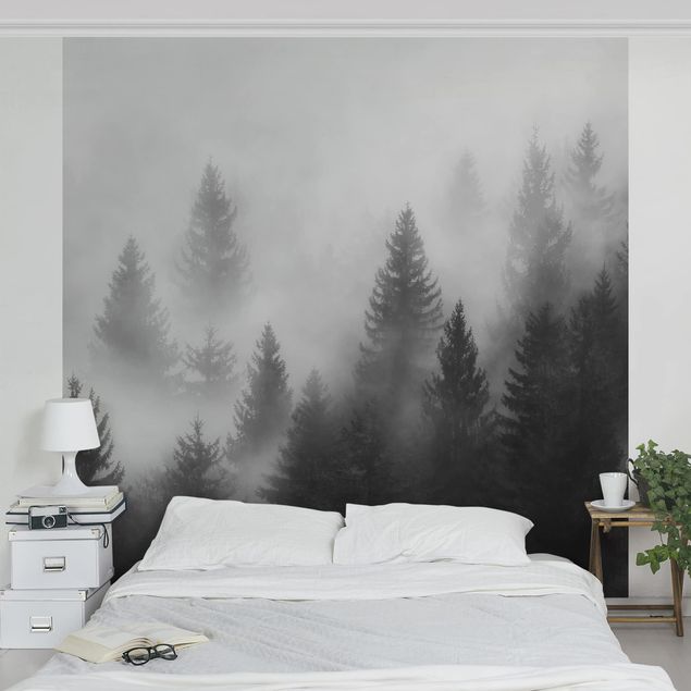 Tapete Natur Nadelwald im Nebel Schwarz Weiß