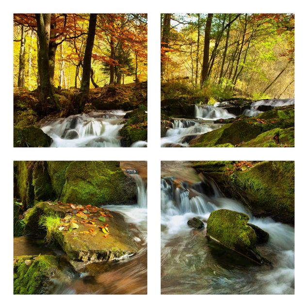 Leinwandbilder kaufen Wasserfall herbstlicher Wald