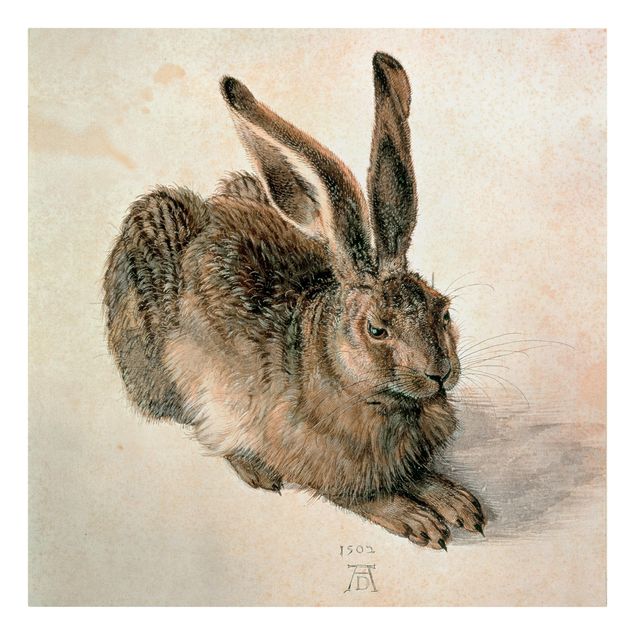 Leinwandbild - Albrecht Dürer - Junger Feldhase - Quadrat 1:1