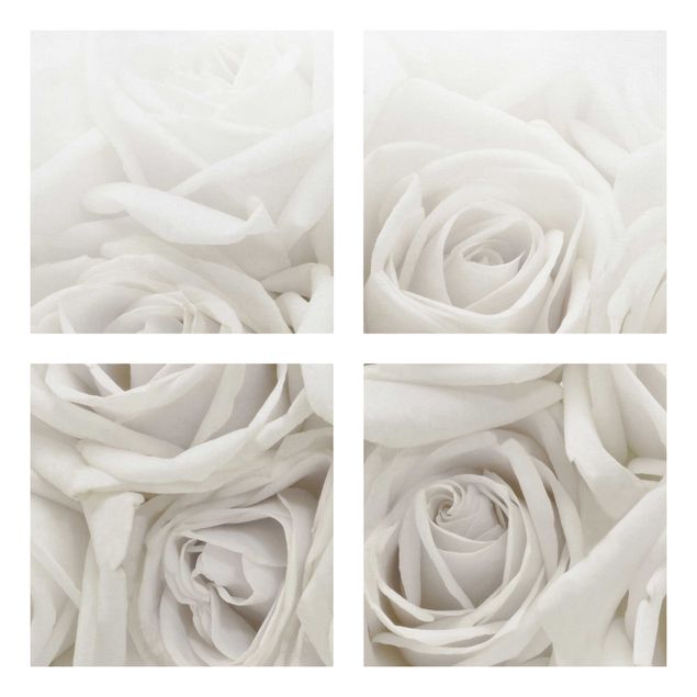 Leinwandbilder kaufen Weiße Rosen