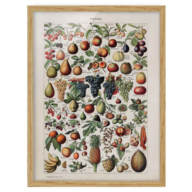 Wandbilder Vintage Lehrtafel Früchte