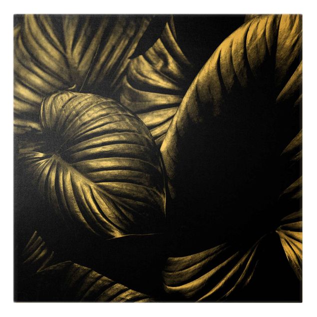 Leinwandbild Gold - Schwarz Weiß Botanik Hosta - Quadrat 1:1