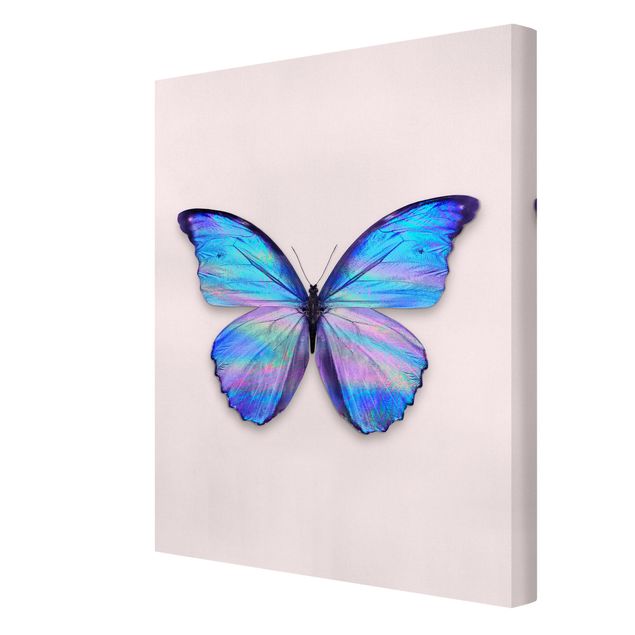 Leinwandbild - Jonas Loose - Holografischer Schmetterling - Hochformat 4:3