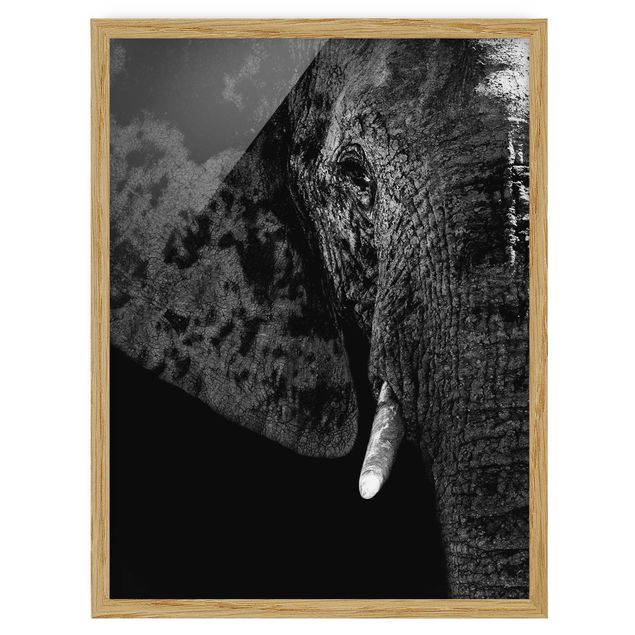 Wandbilder Afrikanischer Elefant schwarz-weiß