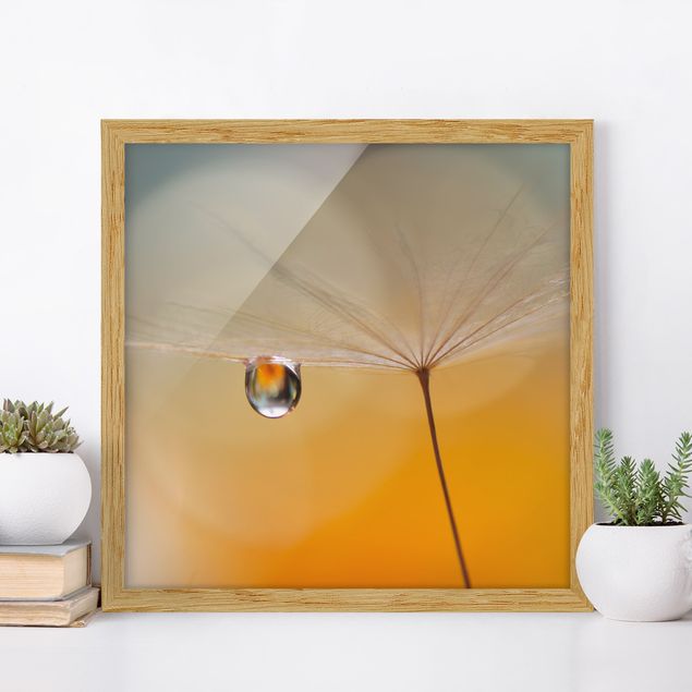 Moderne Bilder mit Rahmen Pusteblume in Orange