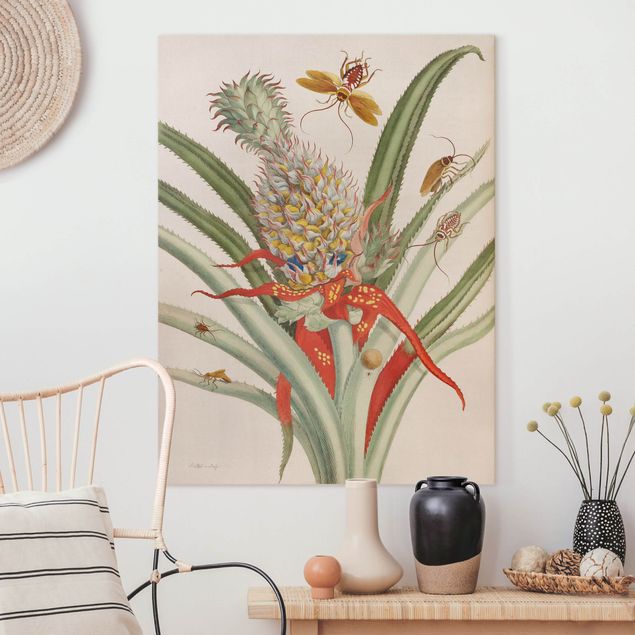 Blumenbilder auf Leinwand Anna Maria Sibylla Merian - Ananas mit Insekten