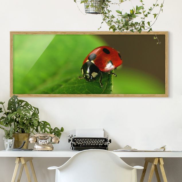 Moderne Bilder mit Rahmen Lady Bird