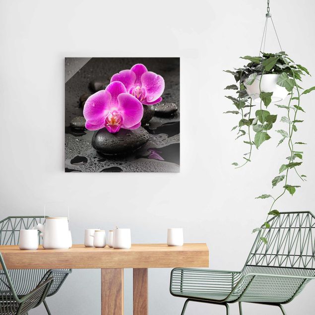 Bilder Pinke Orchideenblüten auf Steinen mit Tropfen