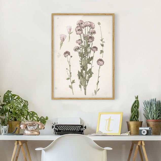 Blumen Bilder mit Rahmen Herbarium in rosa I