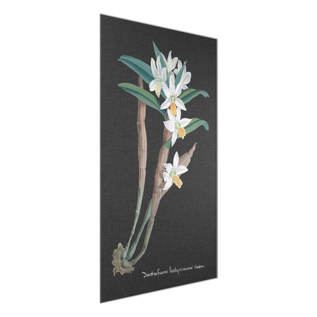 Glas Wandbilder Weiße Orchidee auf Leinen I