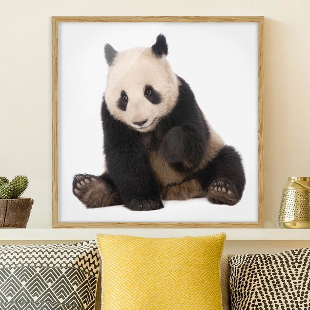 Moderne Bilder mit Rahmen Panda Tatzen