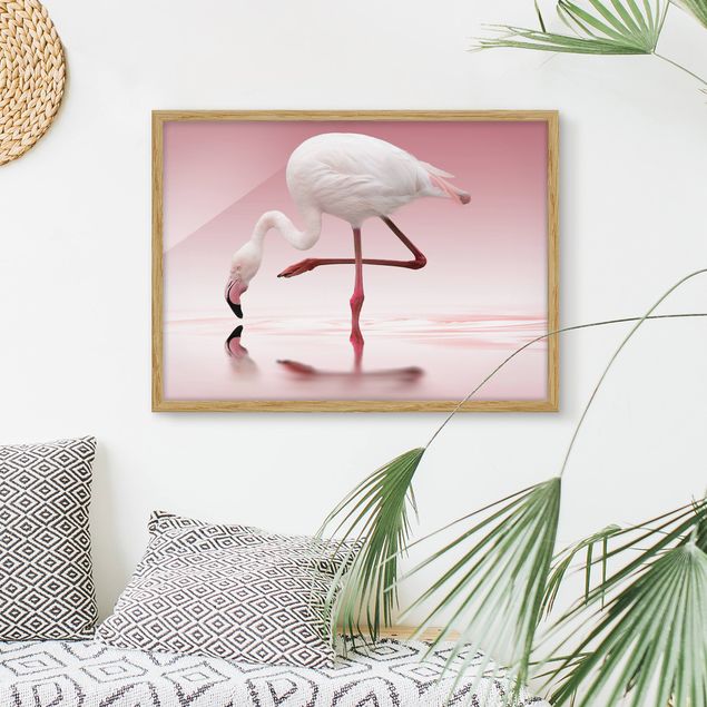 schöne Bilder Flamingo Dance