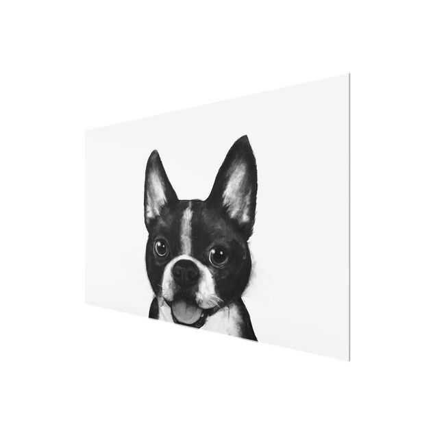 schöne Bilder Illustration Hund Boston Schwarz Weiß Malerei