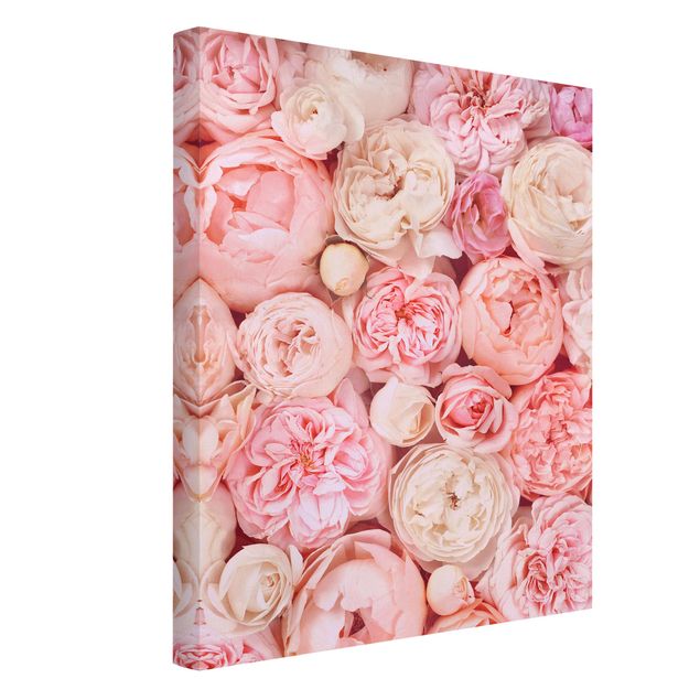 Leinwandbilder kaufen Rosen Rosé Koralle Shabby
