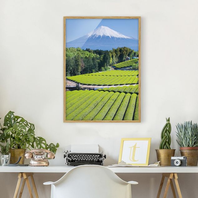 Natur Bilder mit Rahmen Teefelder vor dem Fuji