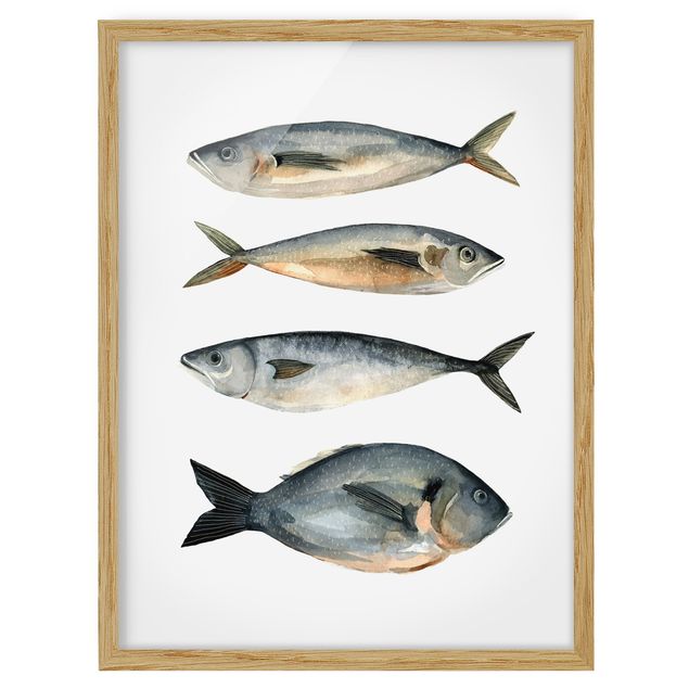 Wandbilder Vier Fische in Aquarell I