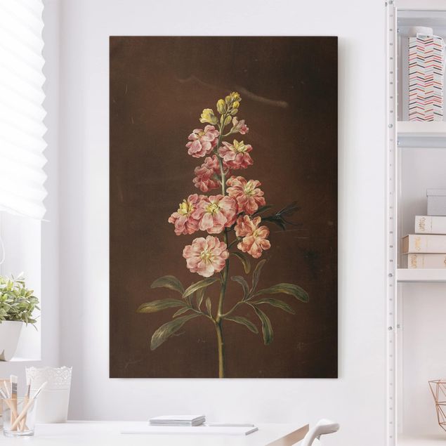 Blumenbilder auf Leinwand Barbara Regina Dietzsch - Eine rosa Garten-Levkkoje