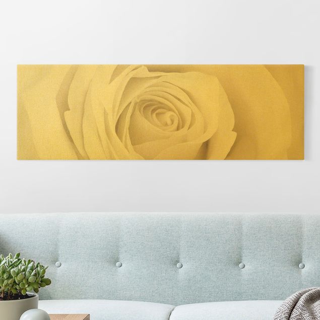 Leinwandbilder Gold Canvas Pretty White Rose